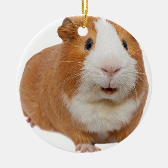 red guinea pig ceramic tree decoration (Front)