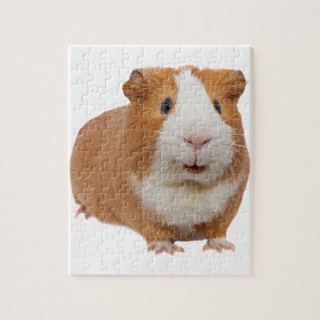 red guinea pig jigsaw puzzle (Vertical)