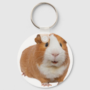 red guinea pig key ring