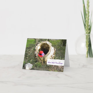 Red Hat Greetings Notecard