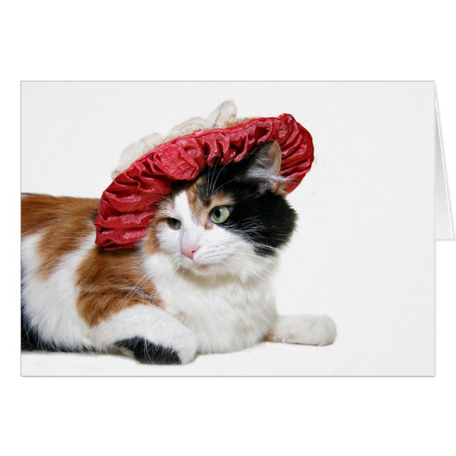 Red Hat Kitty (Front Horizontal)