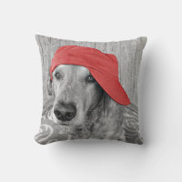 red hat on golden retriever