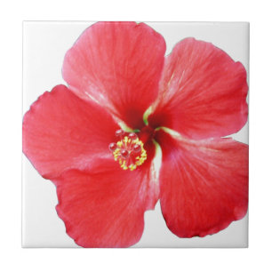Red Hawaiian Hibiscus Flower Tile