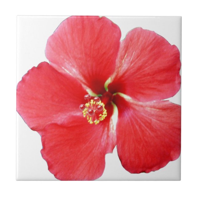 Red Hawaiian Hibiscus Flower Tile (Front)