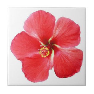 Red Hawaiian Hibiscus Flower Tile