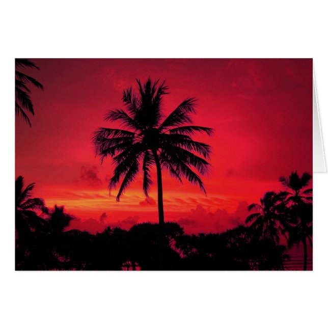 Red Hawaiian Sunset Exotic Palm Trees (Front Horizontal)
