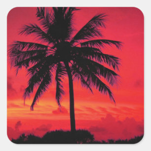 Red Hawaiian Sunset Exotic Palm Trees Square Sticker