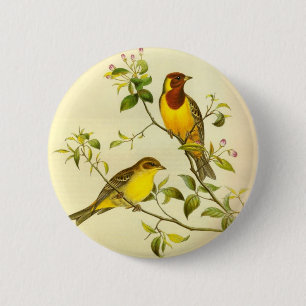 Red-headed Bunting Emberiza bruniceps 6 Cm Round Badge