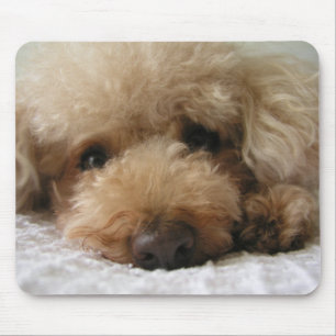 Red Headed Poodle Mouse Mat