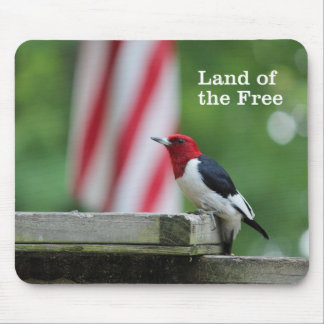 Red-headed Woodpecker 2 Mouse Mat