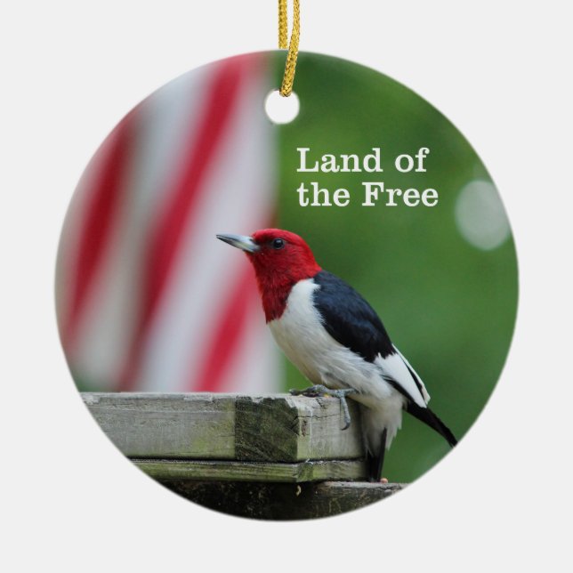 Red-headed Woodpecker Ceramic Tree Decoration (Front)