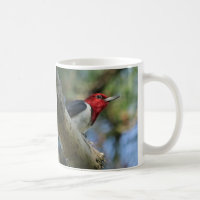 Red-Headed Woodpecker Coffee Mug