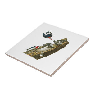 Red headed Woodpecker John Audubon Birds America Tile