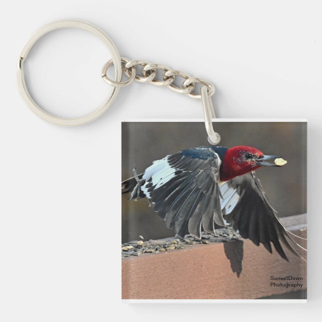 Red-Headed Woodpecker Key Ring (Front)