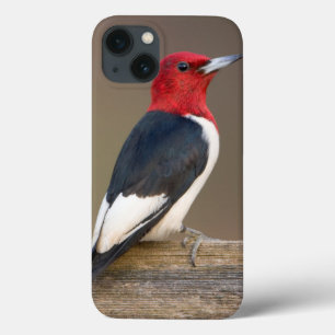 Red-headed Woodpecker on fence iPhone 13 Case