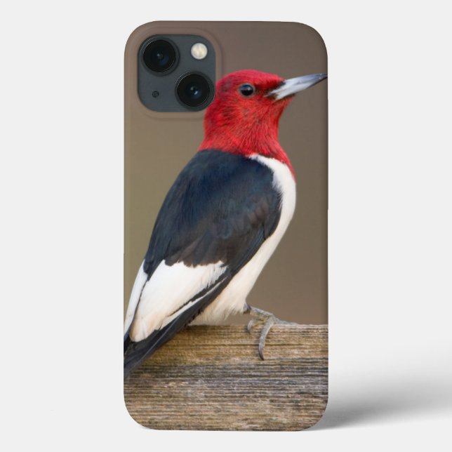 Red-headed Woodpecker on fence Case-Mate iPhone Case (Back)
