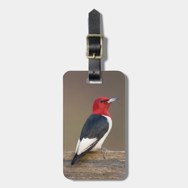Red-headed Woodpecker on fence Luggage Tag (Front Vertical)