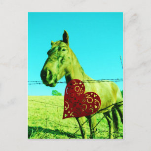 Red Heart and Horse Postcard