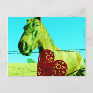 Red Heart and Horse Postcard