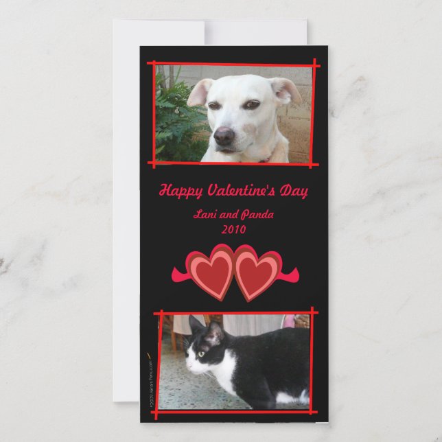 Red Hearts  Vertical Photo Card Template (Front)