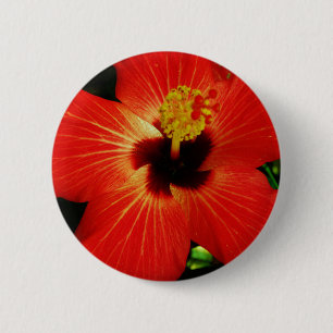Red Hibiscus 6 Cm Round Badge