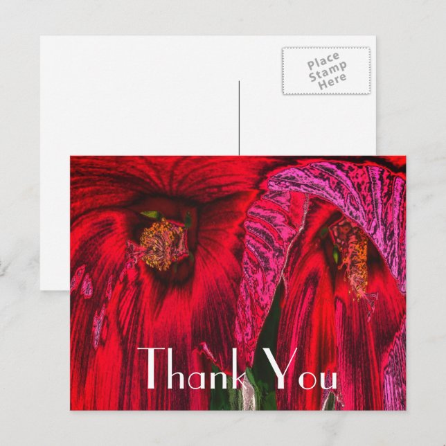 Red Hibiscus Abstract Floral Thank You Postcard (Front/Back)