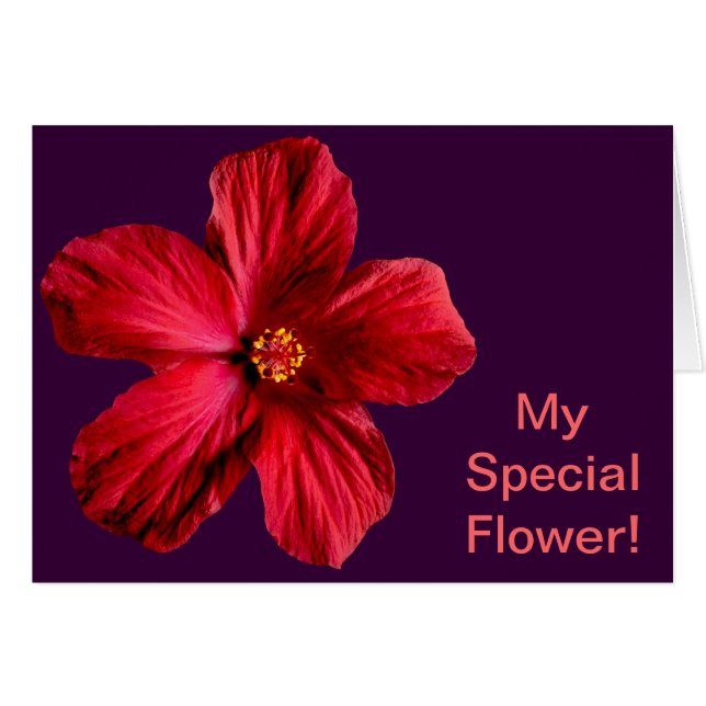 Red Hibiscus Flower (Front Horizontal)