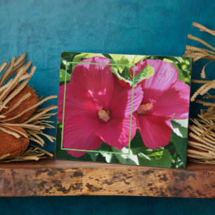 Red Hibiscus Flower Add Your Own Photo Plaque