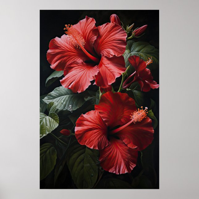 Red Hibiscus Flower Art Print Poster (Front)