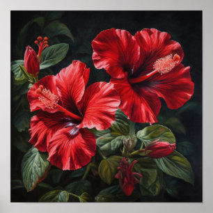 Red Hibiscus Flower Art Print Poster