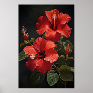 Red Hibiscus Flower Art Print Poster