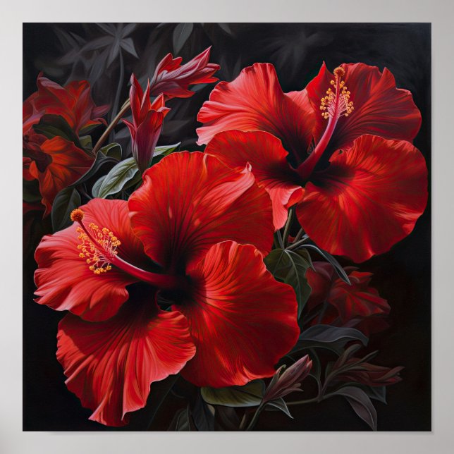 Red Hibiscus Flower Art Print Poster (Front)