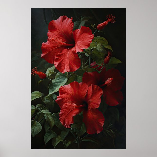 Red Hibiscus Flower Art Print Poster (Front)