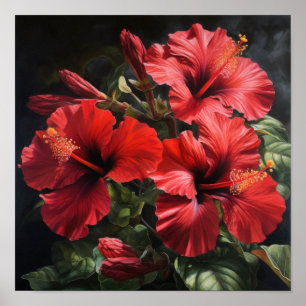 Red Hibiscus Flower Art Print Poster