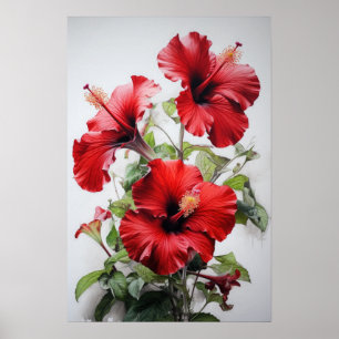 Red Hibiscus Flower Art Print Poster