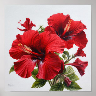 Red Hibiscus Flower Art Print Poster