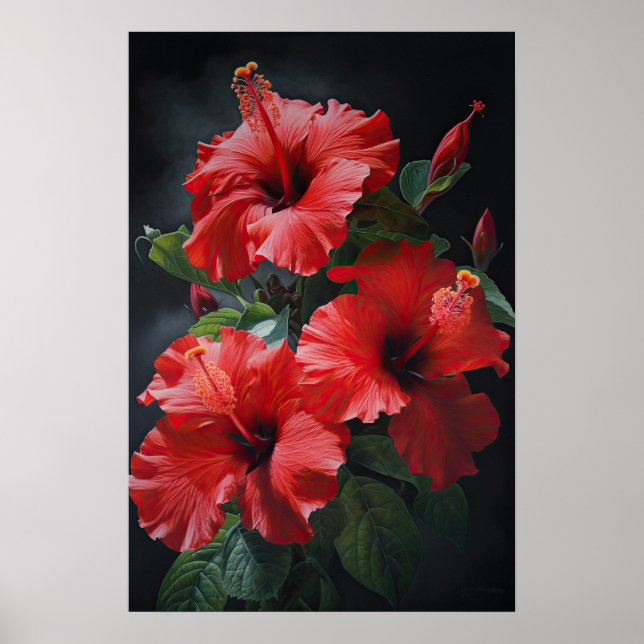 Red Hibiscus Flower Art Print Poster (Front)