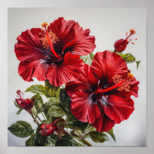 Red Hibiscus Flower Art Print Poster