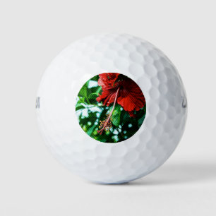 Red Hibiscus Flower Golf Balls