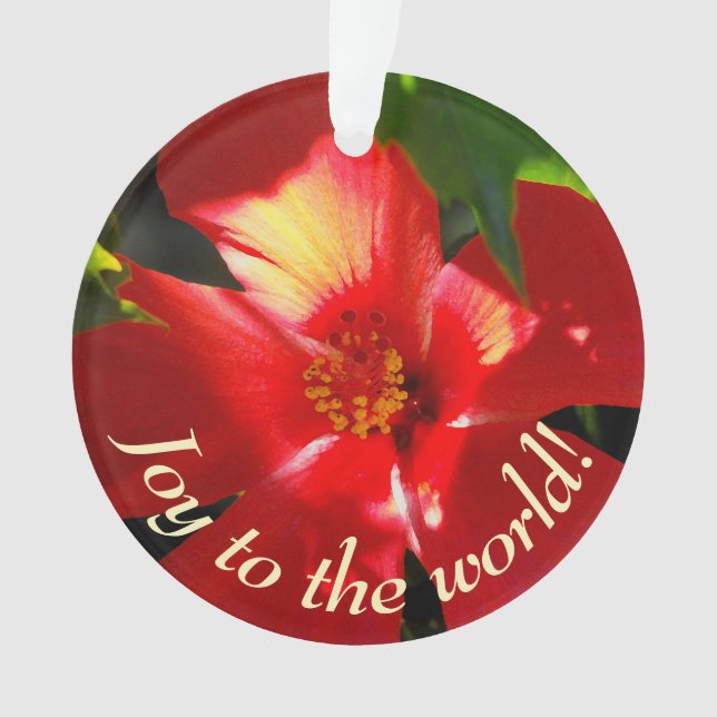 Red Hibiscus Flower in Sunlight Ornament (Front)