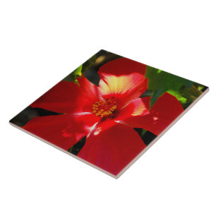Red Hibiscus Flower in Sunlight Tile