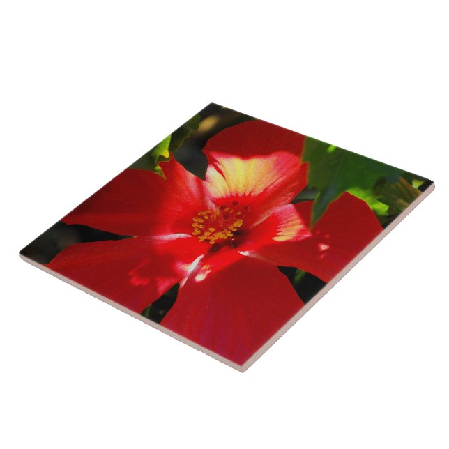 Red Hibiscus Flower in Sunlight Tile (Side)