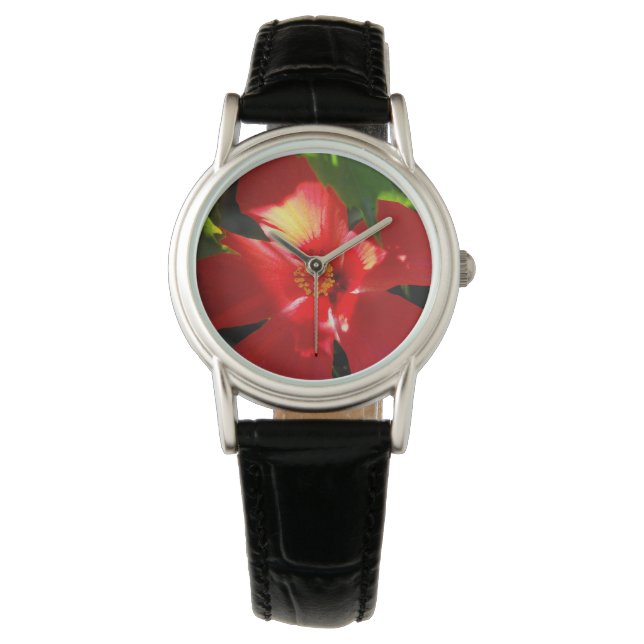Red Hibiscus Flower in Sunlight Watch (Front)