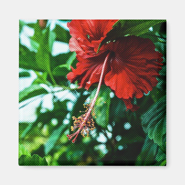 Red Hibiscus Flower Magnet (Front)