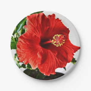 Red Hibiscus Flower Paper Plate