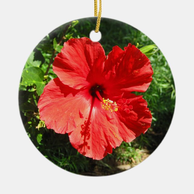 Red Hibiscus Flower Photograph from Hawaii Ceramic Tree Decoration (Front)