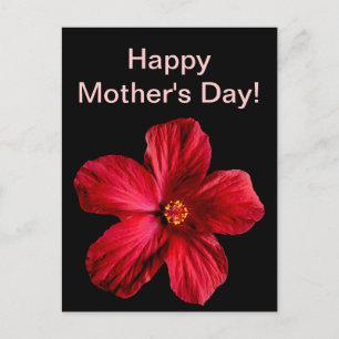 Red Hibiscus Flower Postcard