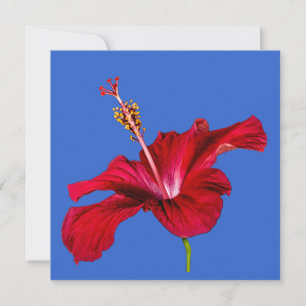 Red Hibiscus Flower Side View Invitation