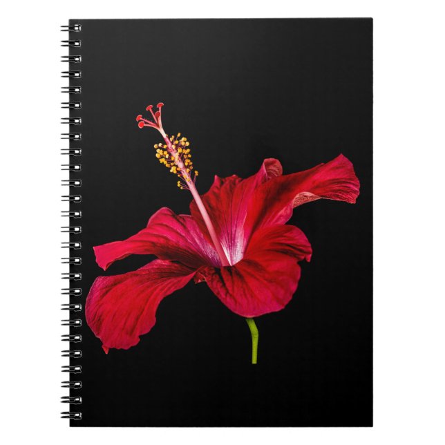 Red Hibiscus Flower Side View Notebook (Front)