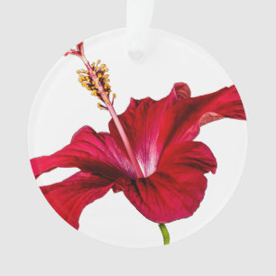 Red Hibiscus Flower Side View Ornament